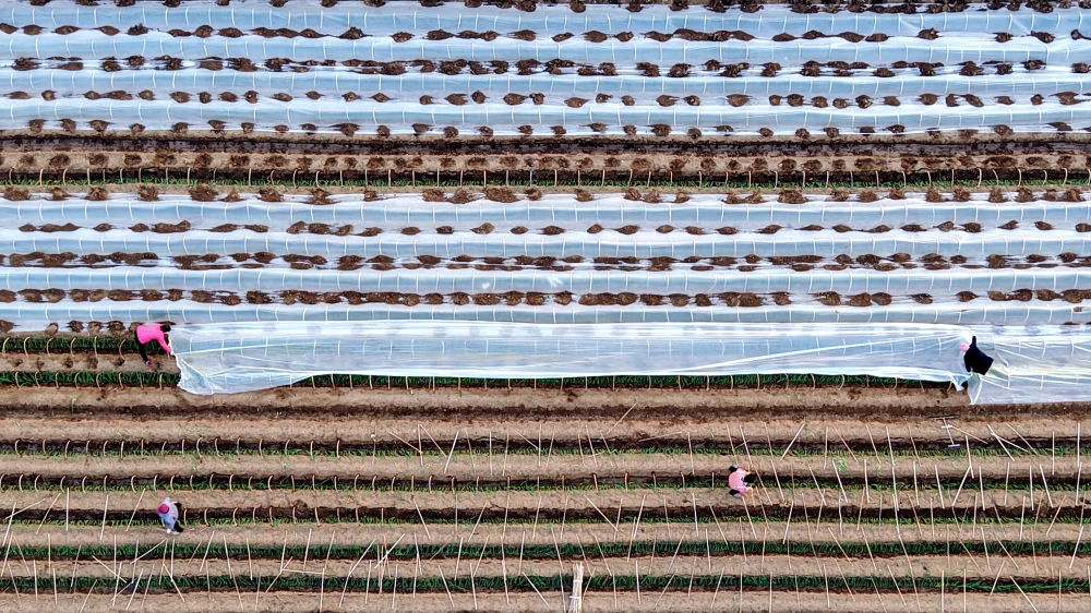 风雪无阻,温暖守护——各地多举措迎寒潮保民生 风雪无阻,温暖守护——各地多举措迎寒潮保民生