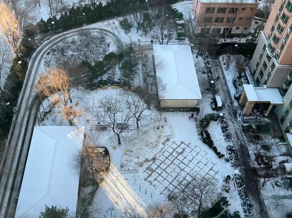 初雪来了!北京为何要跟融雪剂说“再见”?