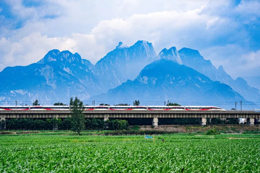 我的铁路风景|春运里的动人瞬间