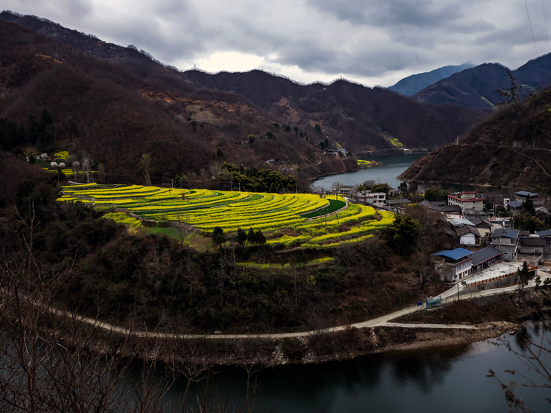 【新春走基层】甘肃文县范坝镇让水河畔春景 【新春走基层】甘肃文县范坝镇让水河畔春景