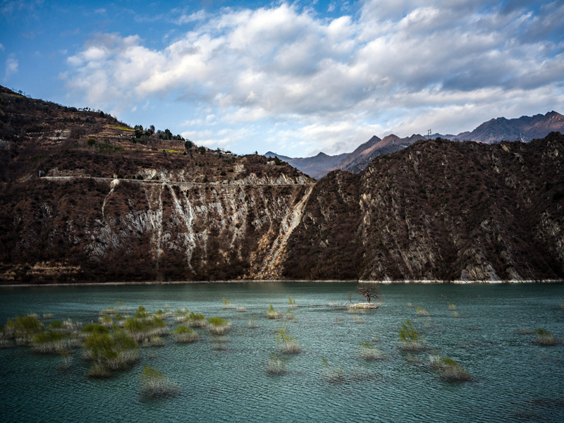 【新春走基层】甘肃文县玉垒坪村油菜花盛开 【新春走基层】甘肃文县玉垒坪村油菜花盛开