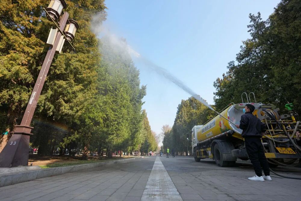 如何应对花粉过敏？专家建议：做好防护减少外出 出现症状及时就诊