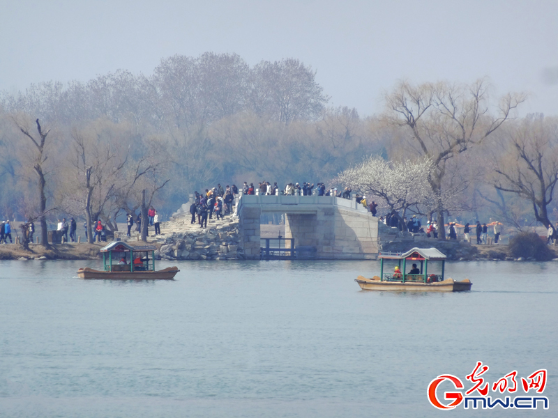 寻春颐和园:波光映画桥 春花枝头俏 寻春颐和园:波光映画桥 春花枝头俏