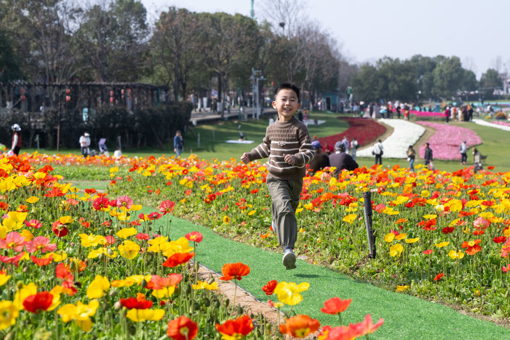春日经济新图景|踏春赏花,从“看风景”到“深体验” 春日经济新图景|踏春赏花,从“看风景”到“深体验”