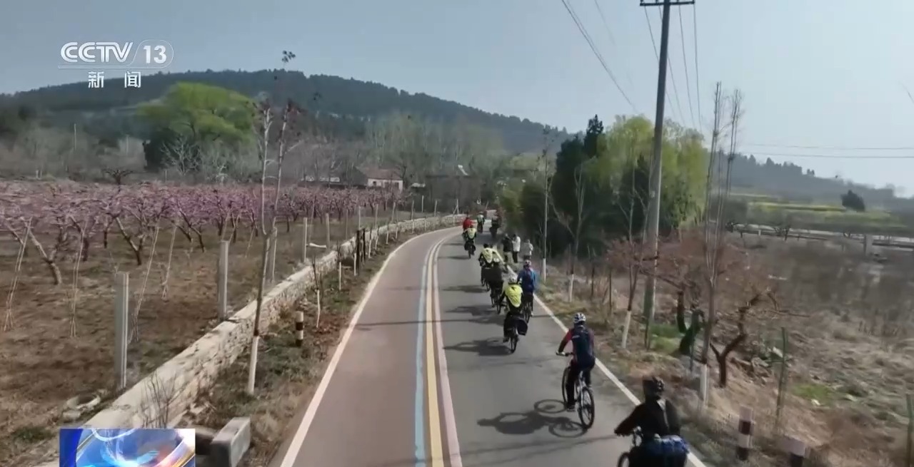 视频丨春季过敏高发期 驾车风险要警惕