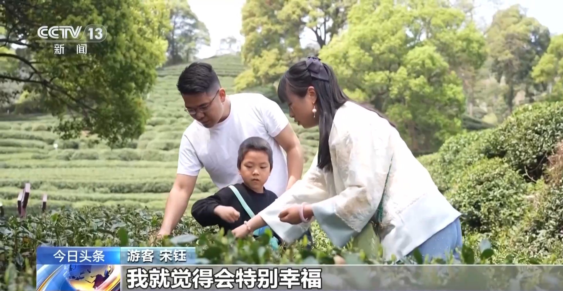 视频丨赏花品茶探古韵 春日文旅融合发展绘就多彩画卷 视频丨赏花品茶探古韵 春日文旅融合发展绘就多彩画卷
