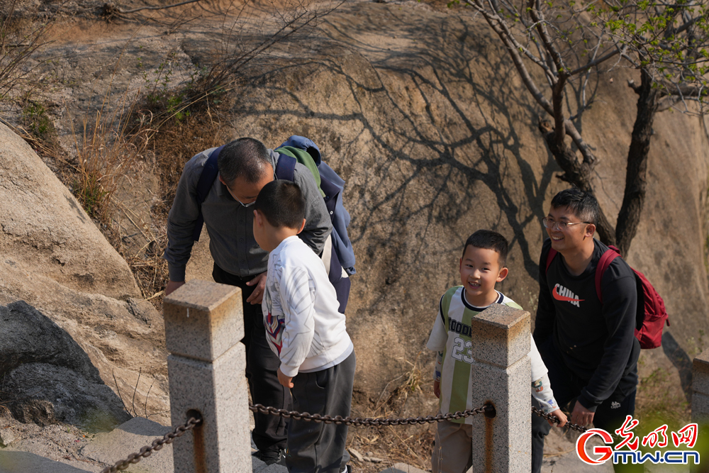 【网络中国节·清明】北京凤凰岭：春色满园 游人如织
