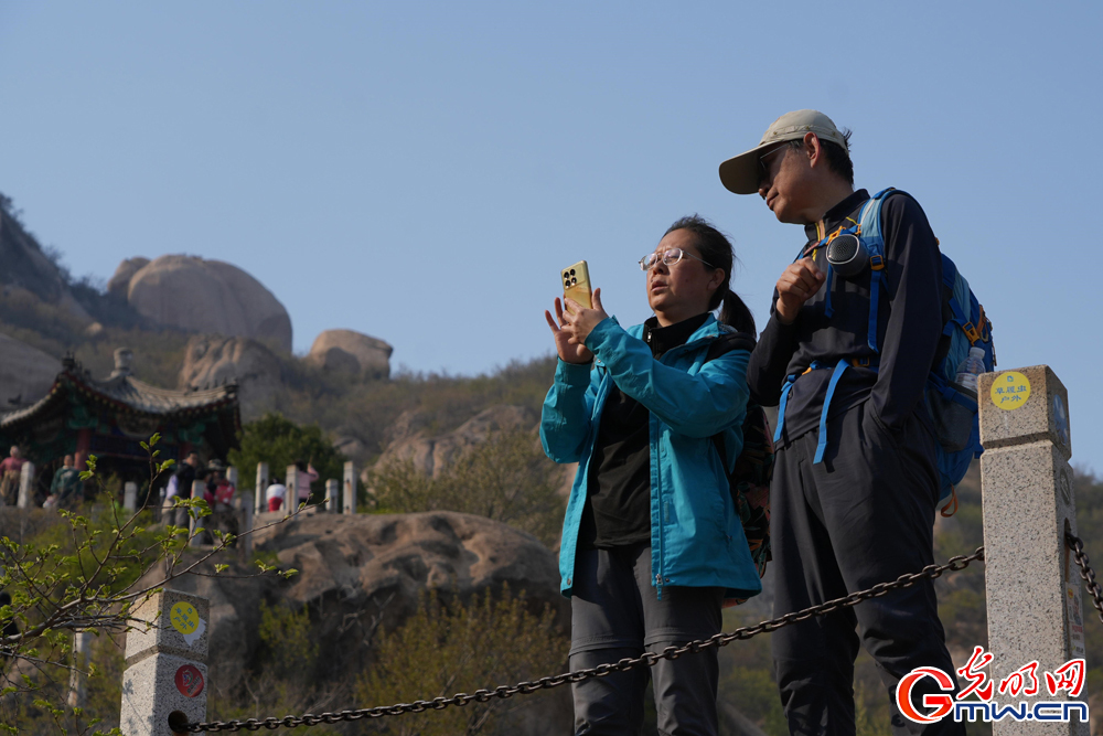 【网络中国节·清明】北京凤凰岭：春色满园 游人如织