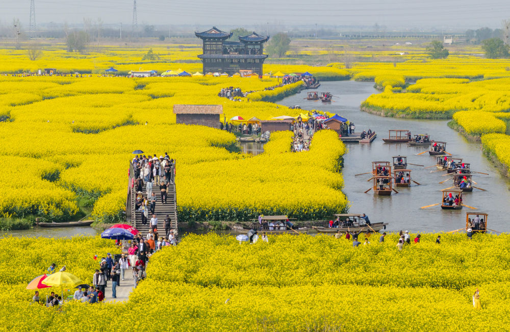 清明踏青的N种“打开方式”
