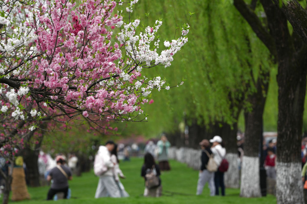 Color Walk、赏味游……这个假期你更爱哪种? Color Walk、赏味游……这个假期你更爱哪种?