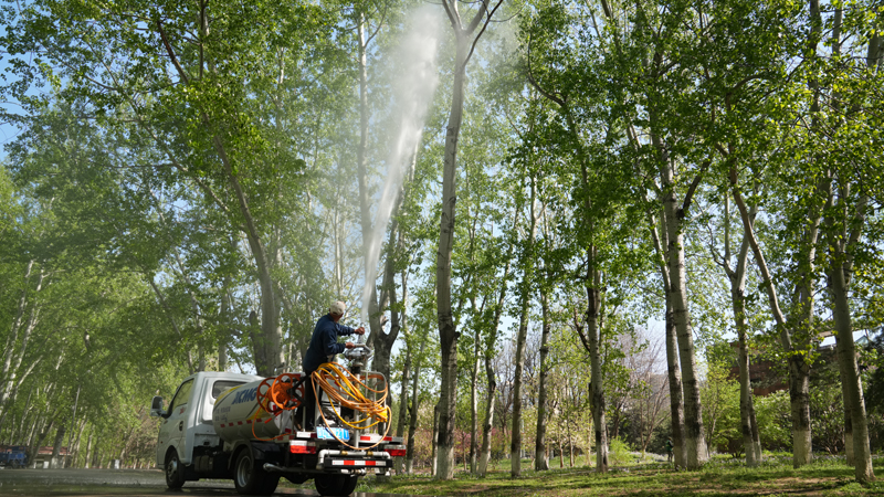 杨柳飞絮进入首个高发期 北京打出科技治理“组合拳”