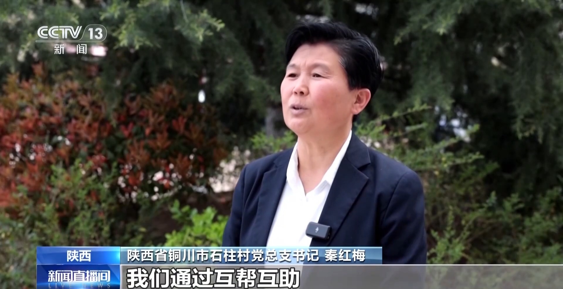 从“互助式食堂”到“湾区安居” 多元探索破解养老难题