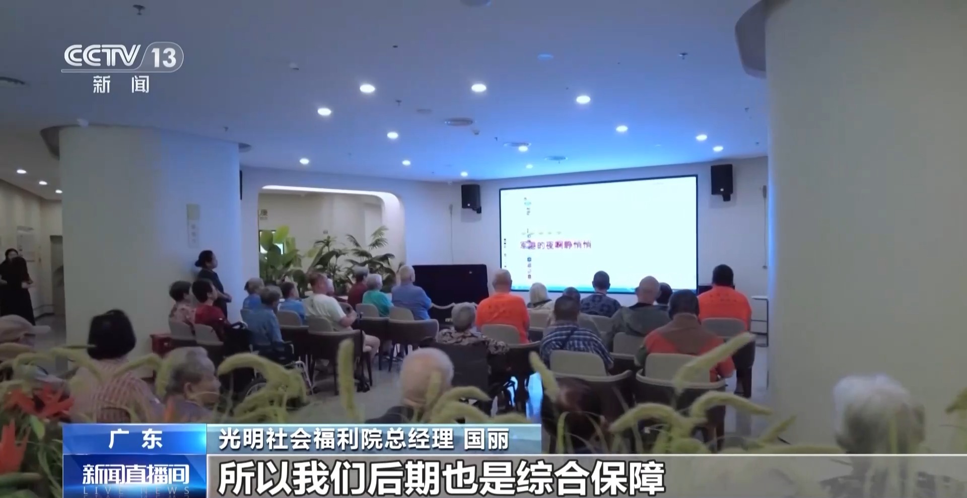 从“互助式食堂”到“湾区安居” 多元探索破解养老难题