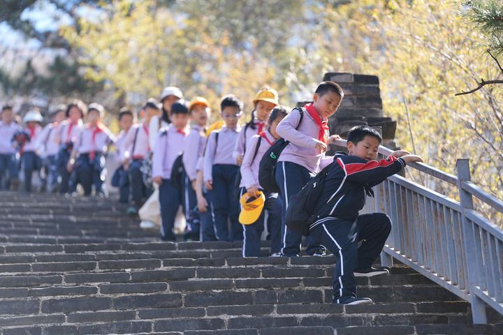 新华智见丨AI劲风扑面,中小学教育如何“进化”?