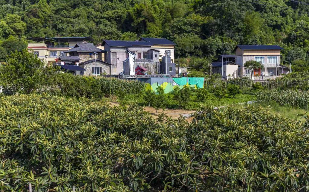 产业旺乡村靓——巴渝和美乡村建设见闻