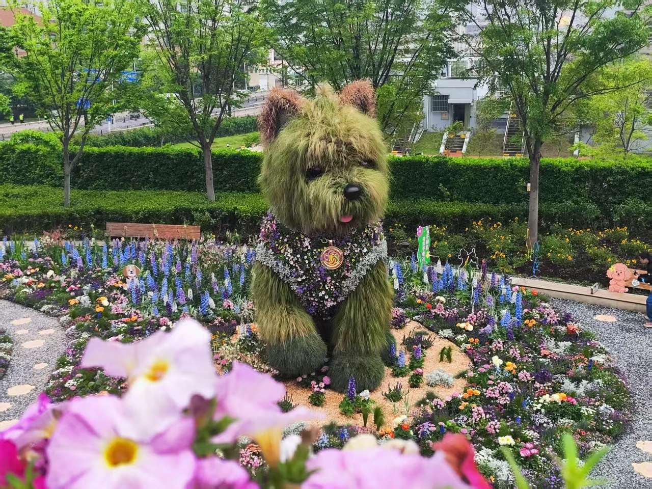 2026上海国际花卉节落幕 一朵花开出城市最温暖底色 2026上海国际花卉节落幕 一朵花开出城市最温暖底色