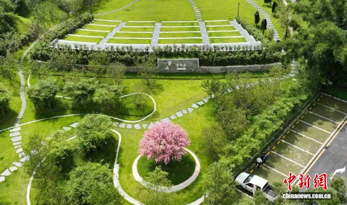 广东建设古树公园、绿美古树乡村、绿美红色乡村392个
