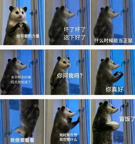 “我累了，但不会倒下”，“背手负鼠”说出了部分年轻人的心里话