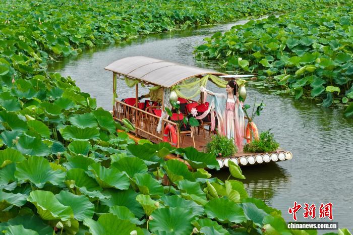小火车穿行荷塘间 城市公园解锁夏日浪漫