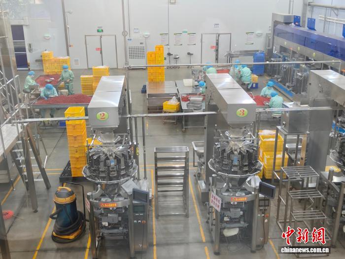 闽宁协作三十载 山海携手共赴振兴路