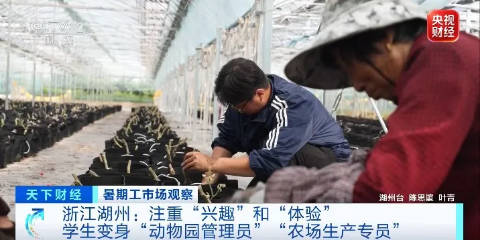 令人“心动”的offer,大学生扎堆当景区NPC!
