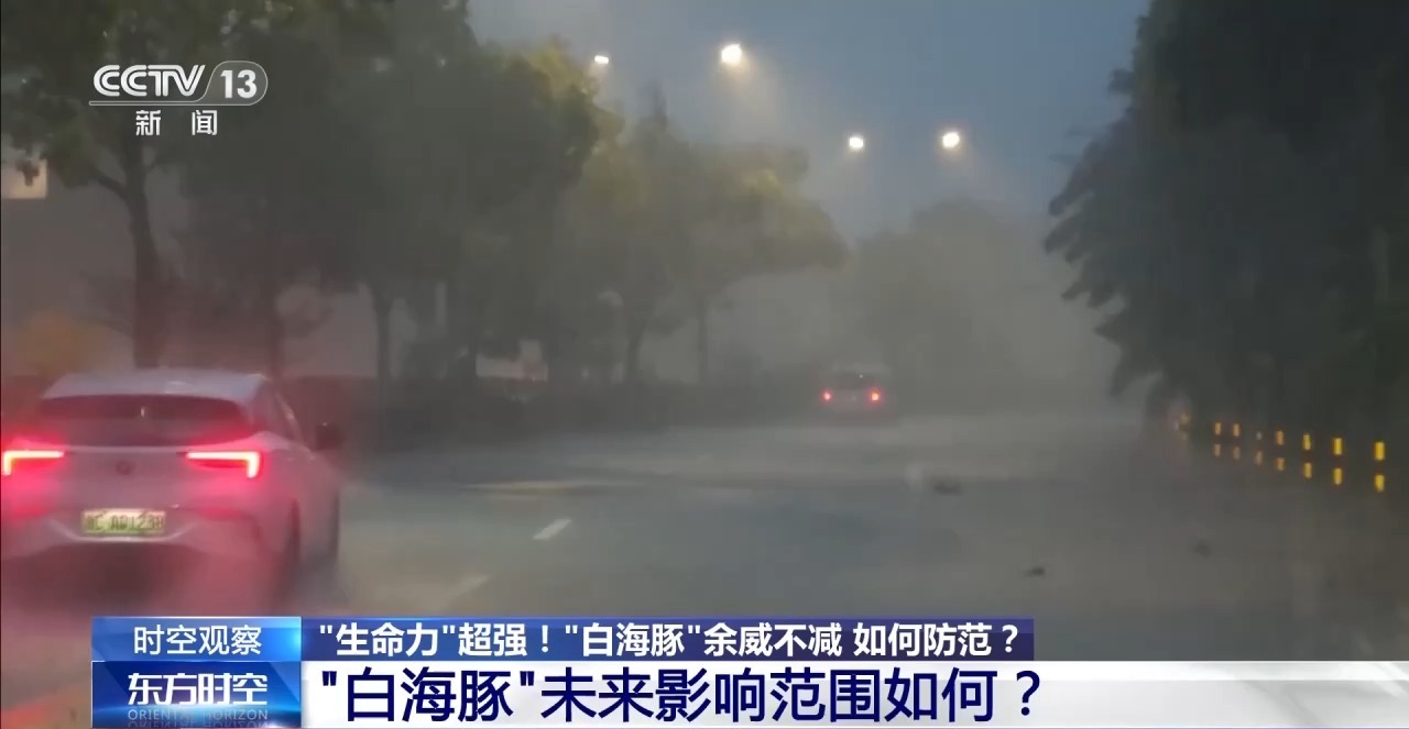 “生命力”超强的“白海豚”余威不减 如何防范?