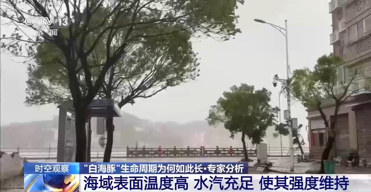 “生命力”超强的“白海豚”余威不减 如何防范?