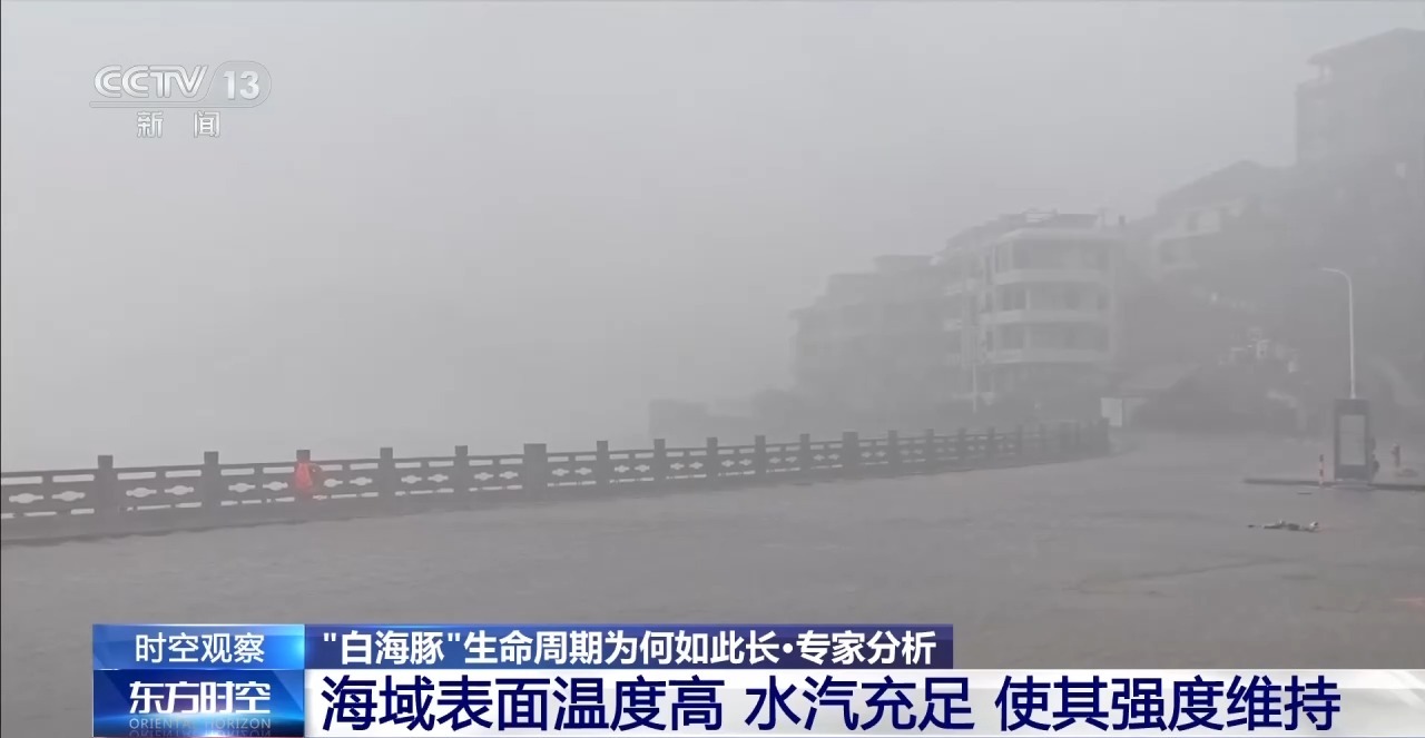 “生命力”超强的“白海豚”余威不减 如何防范?