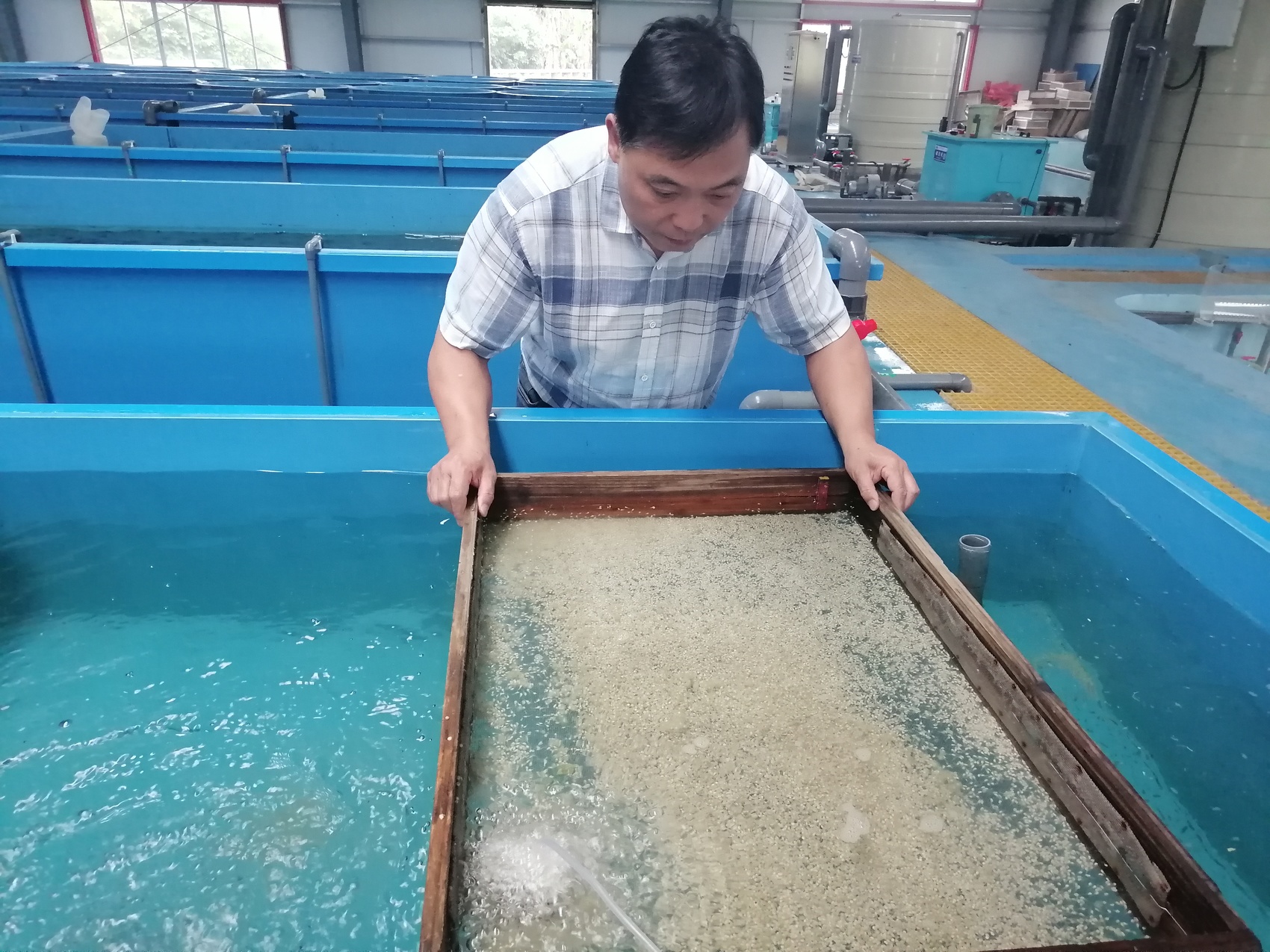 天蓝水清林绿,珍稀动物回家了丨长江十年行
