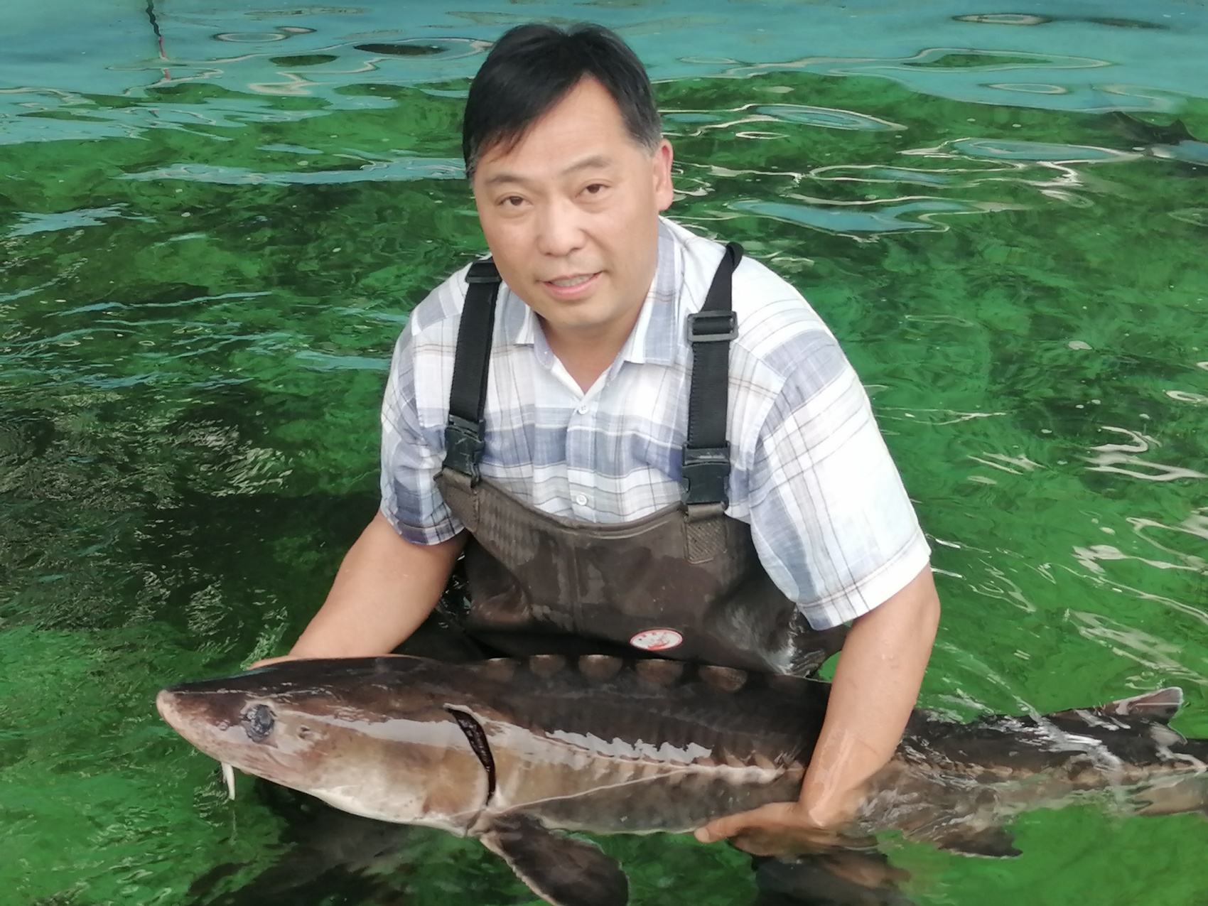 天蓝水清林绿,珍稀动物回家了丨长江十年行