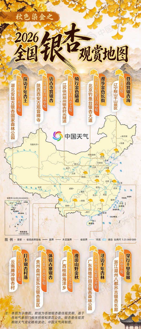 秋色染金!全国银杏观赏地图出炉 多种玩法带你探索银杏之美