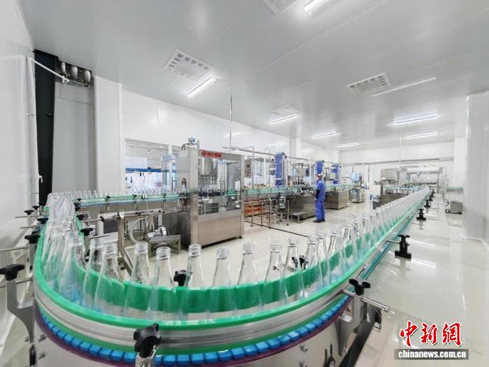 (乡村行·看振兴)AI助力管好白桦林 吉林桦甸“森林原汁”走出国门