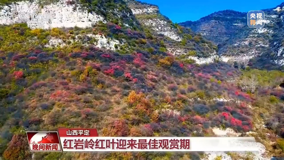 层林尽染 多地迎来最佳赏秋季
