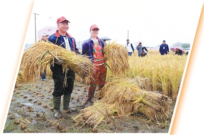 定制农业,如何让供需精准“握手”(人民眼·提升农业质量效益)