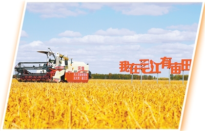 定制农业,如何让供需精准“握手”(人民眼·提升农业质量效益)