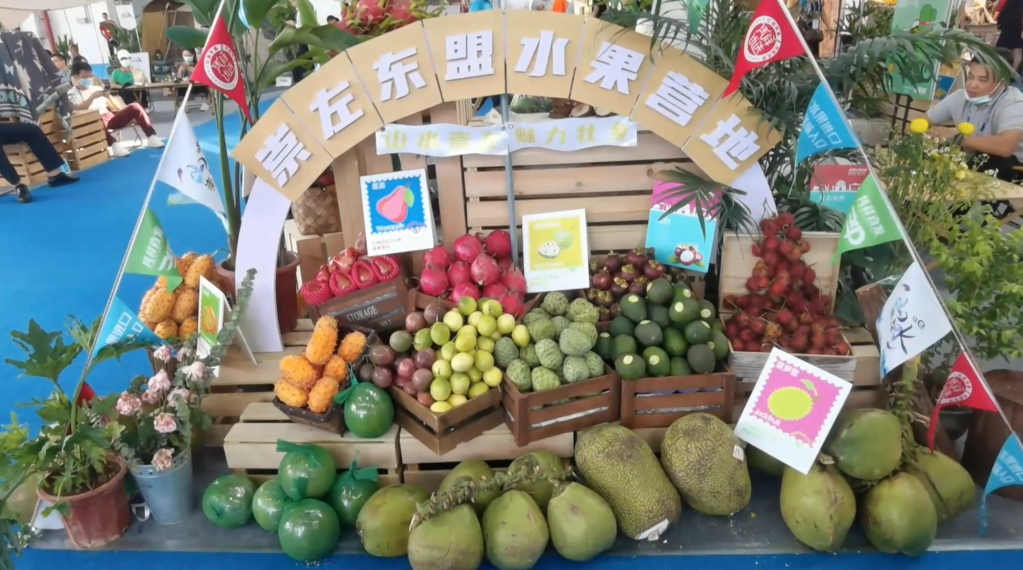 来东博会 品尝东盟国家特色水果