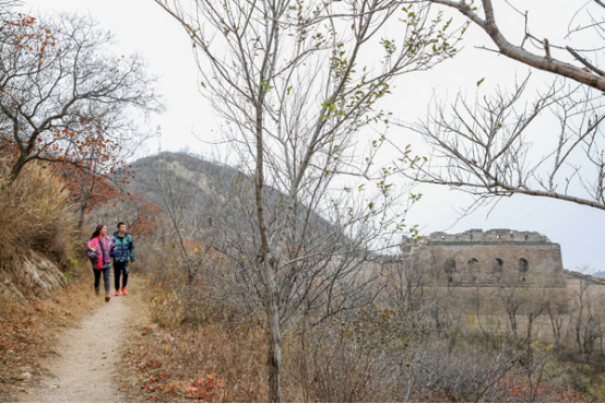北京今年已建成5条森林步道 总长度100公里