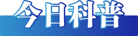 湖南武冈挖出“龙身化石”？