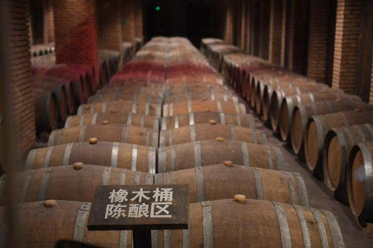 北京市采育镇：一颗小葡萄“酿造”乡村生活新魅力1