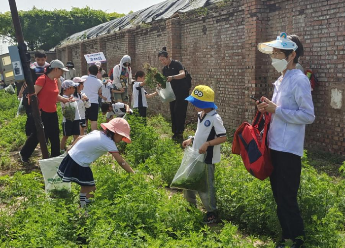 北京市长子营镇：为农业添“绿” 家庭农场让乡村更宜人