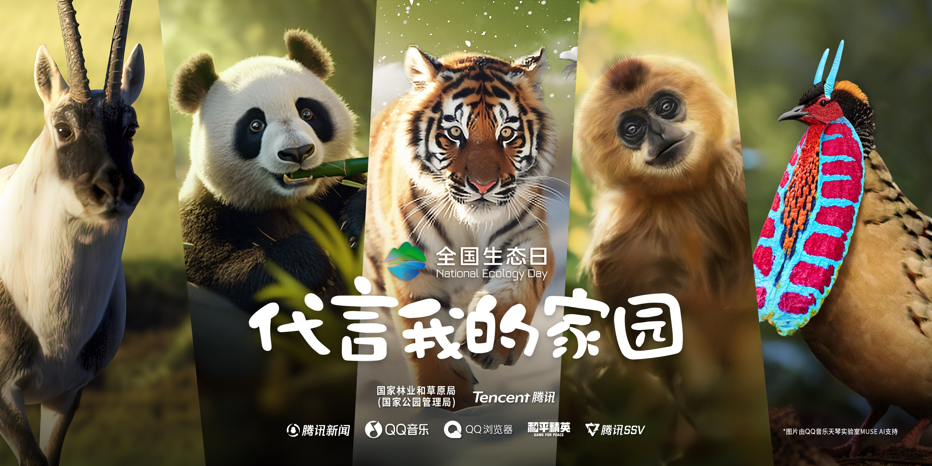 首个全国生态日丨跟“五宝”一起“云”逛国家公园！