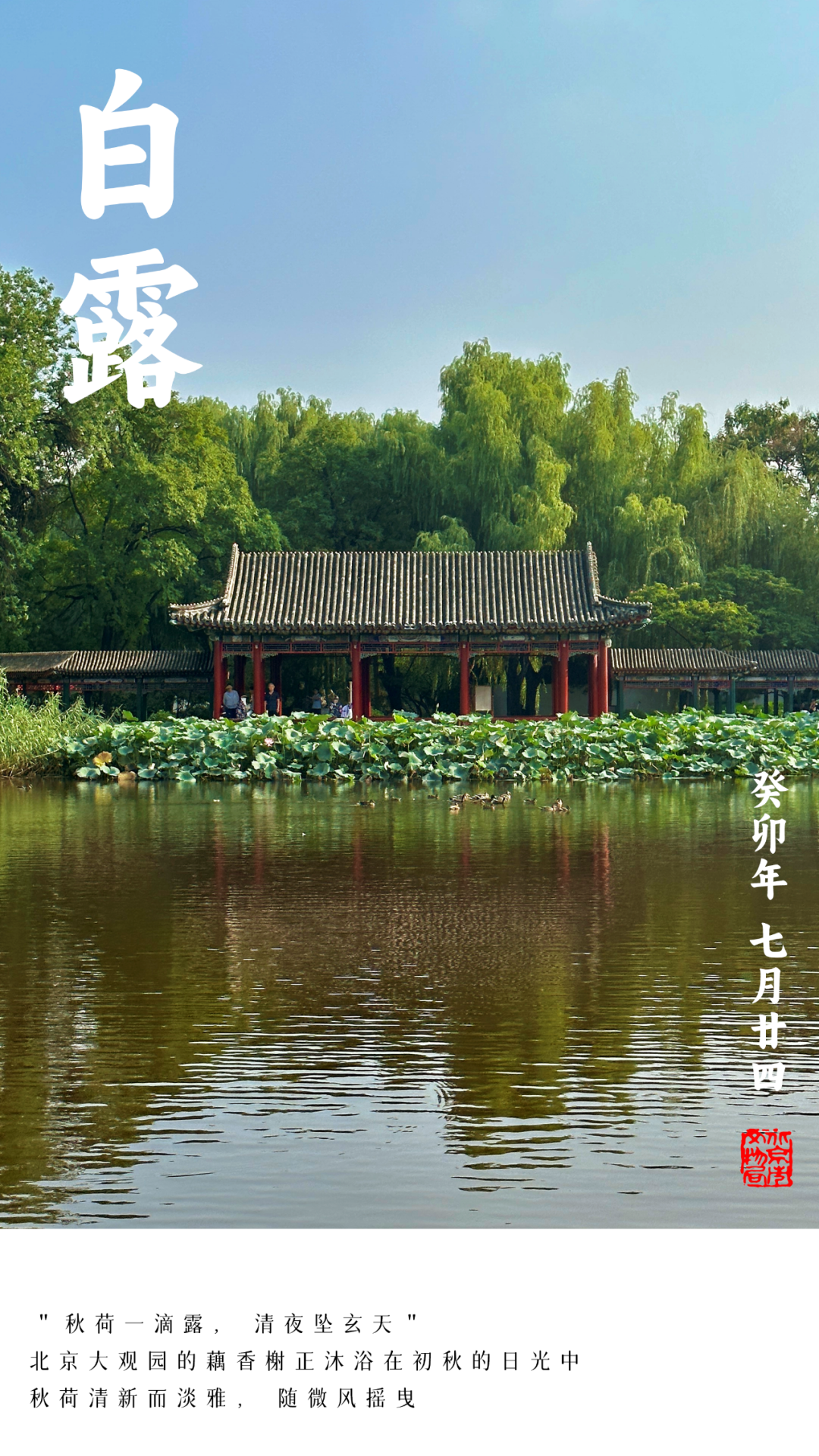 二十四节气之白露