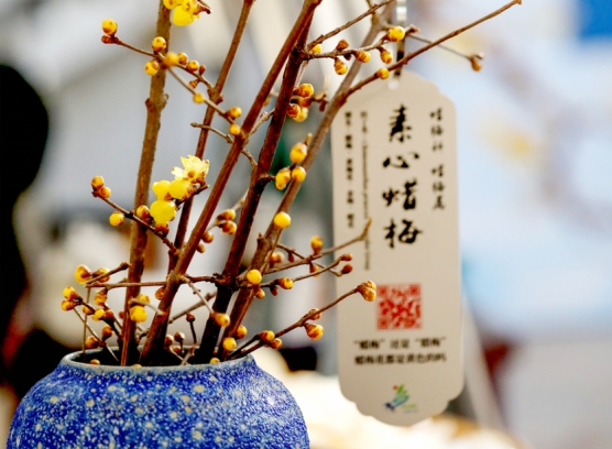 北京举办首届家庭园艺嘉年华 腊梅文化飘香新春