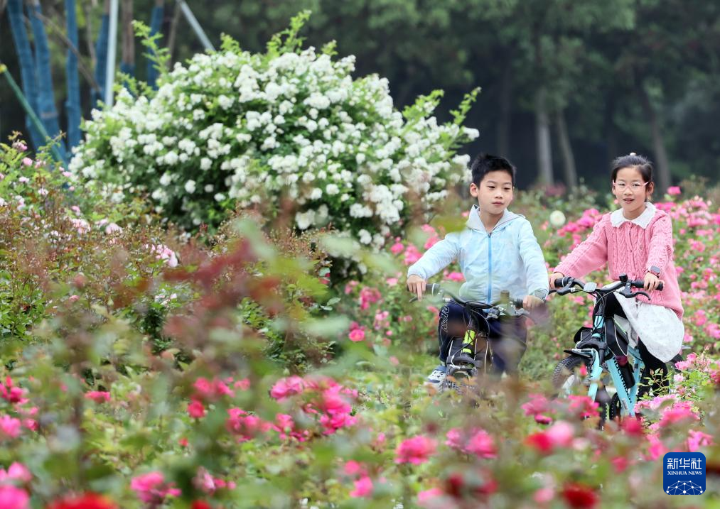 走进嘉兴植物园