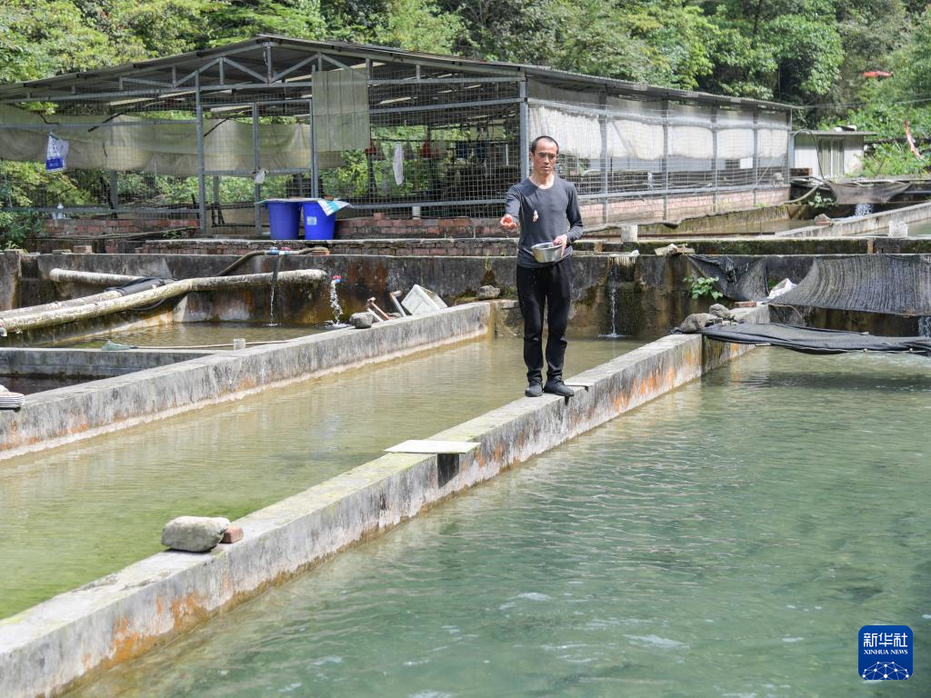 国家一级保护动物川陕哲罗鲑全人工繁殖成功