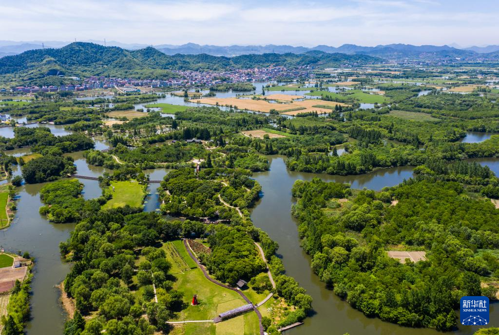 夏花烂漫 水草丰茂——白塔湖国家湿地公园的初夏