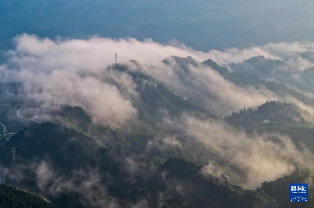 飞阅中国｜重庆金佛山：云绕山峦