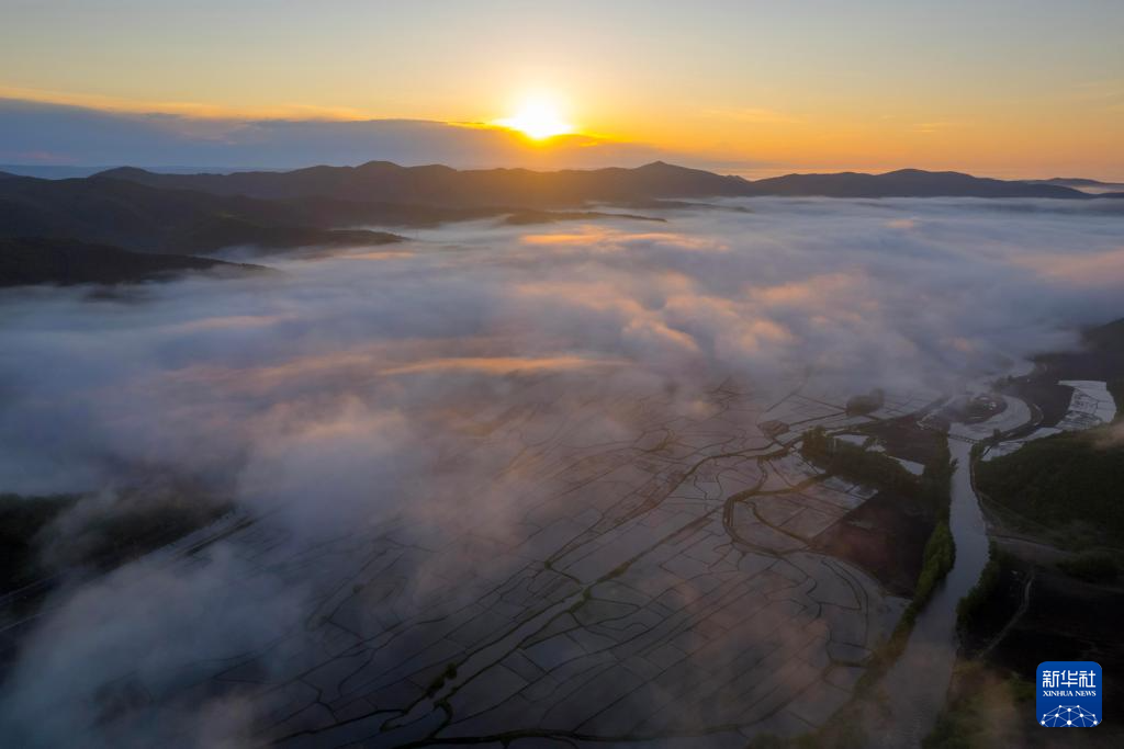 雾笼“水乡” “粮仓”如画