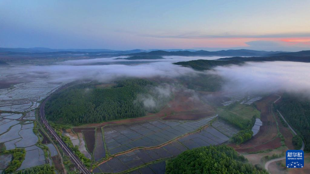 雾笼“水乡” “粮仓”如画