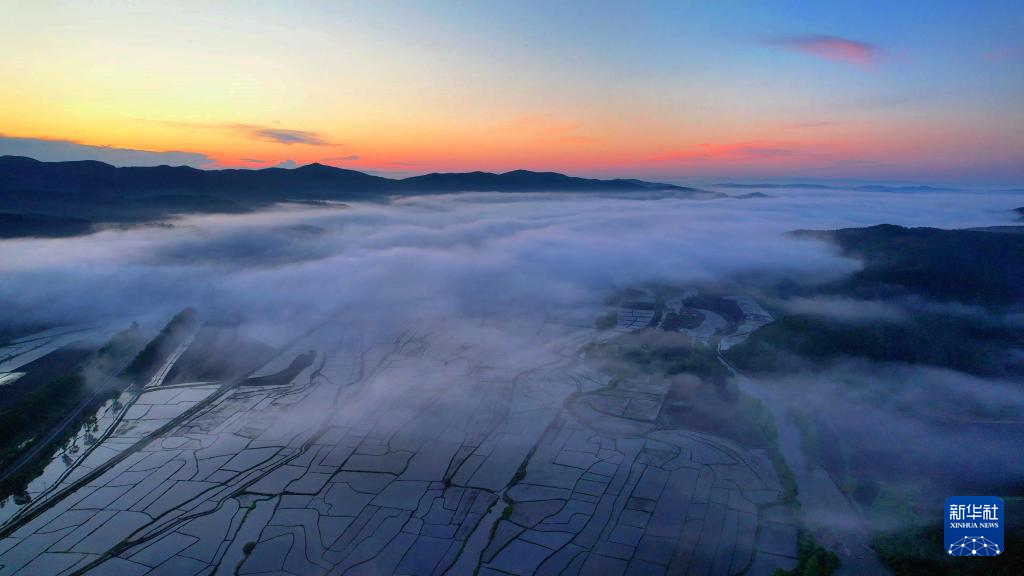 雾笼“水乡” “粮仓”如画